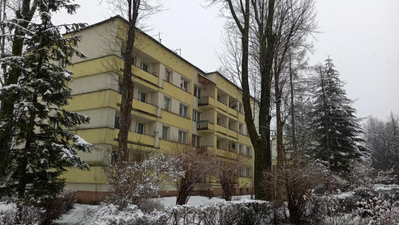 Apartament Alicja, Scisle Centrum, Orkana 3 Zakopane Kültér fotó